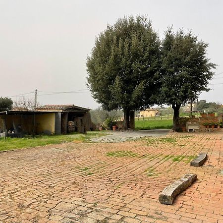 Podere Piazza Сиена Экстерьер фото