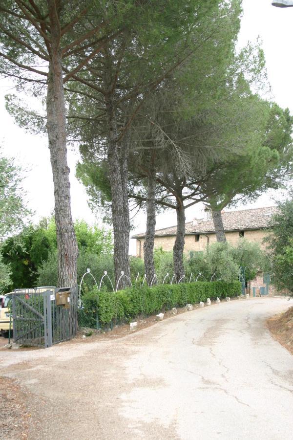 Podere Piazza Сиена Экстерьер фото